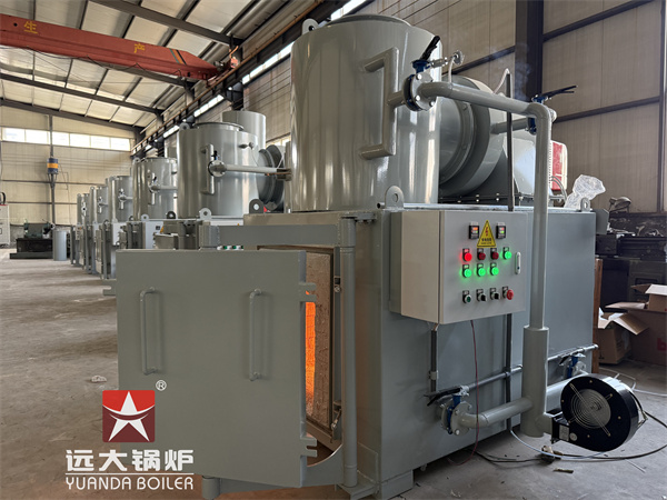 Hospital Project Medical Waste Mangament Incinerator No Pollution 50kg per hour