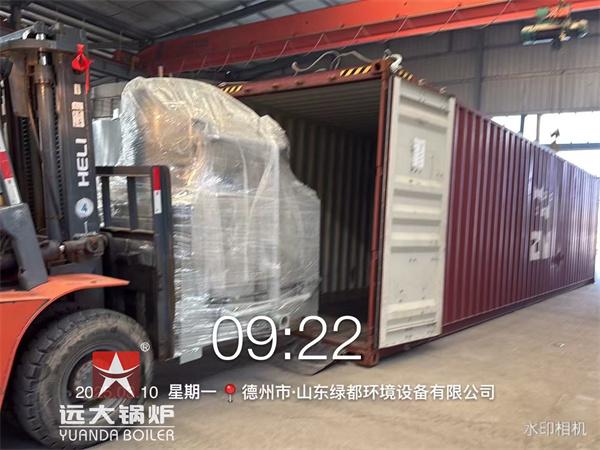 YDF50 Medical Waste Incinerator 50kg 4sets Delivery to Guyana