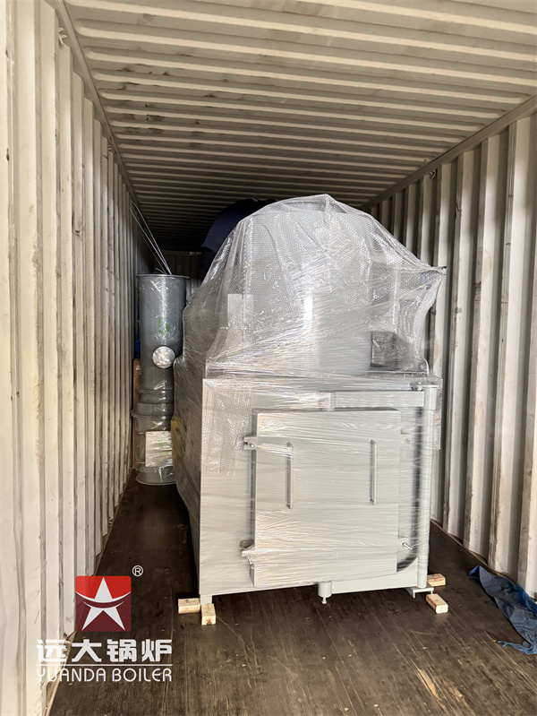 YDF50 Medical Waste Incinerator 50kg 4sets Delivery to Guyana