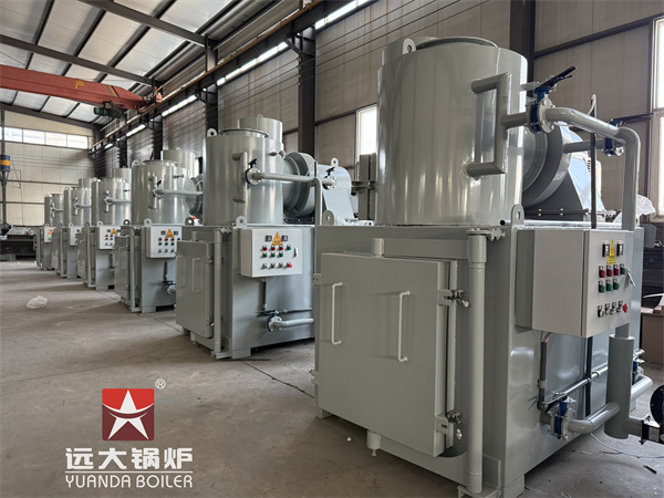 Hospital Project Medical Waste Mangament Incinerator No Pollution 50kg per hour