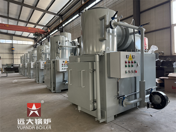 China YDF 5sets 50kg Medical Waste Incinerator For Guyana Hospitsal  Project
