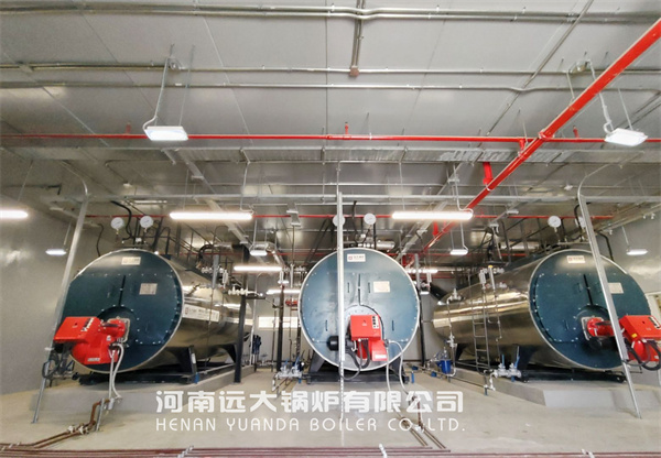 Yuanda Steam Boiler 5Ton Oil Gas Boiler Service in Saudi Arabia