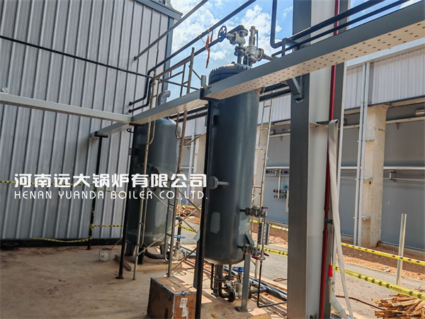 15Ton Biomass Steam Boiler in Furniture Factory Vietnam