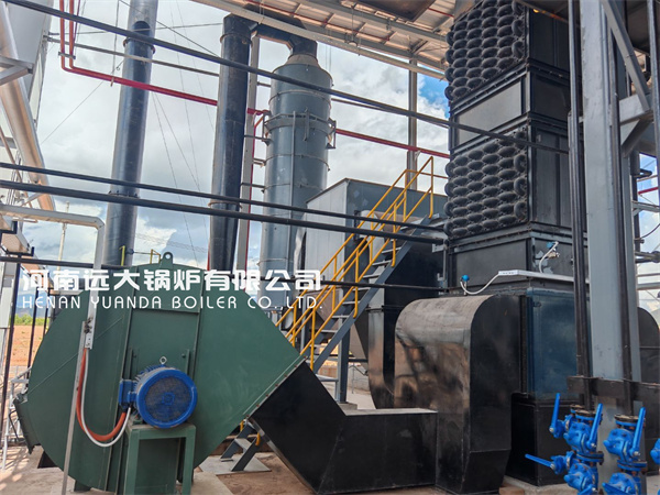 15Ton Biomass Steam Boiler in Furniture Factory Vietnam