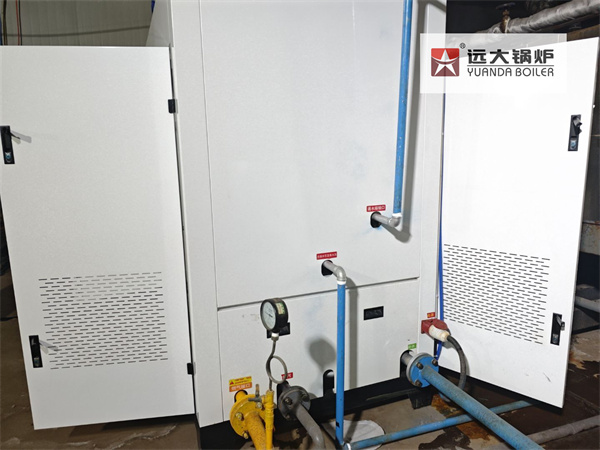 Steam Generator 1000kg/hour Natural Gas Steam Generator Boiler