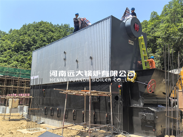 Coal Fired Hot Water Boiler Chain Grate Boiler 10500kw 10MW