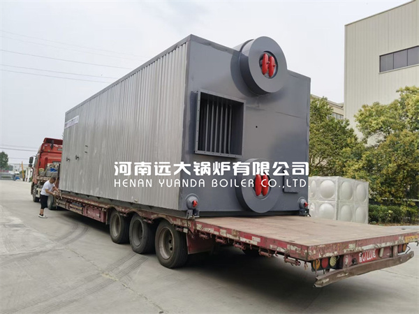 Coal Fired Hot Water Boiler Chain Grate Boiler 10500kw 10MW