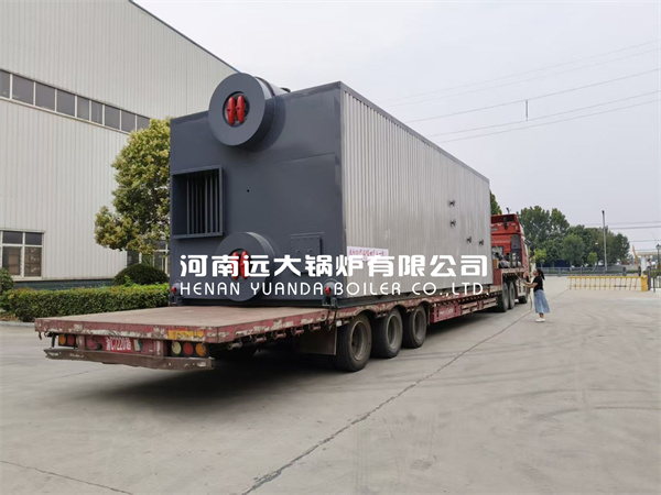 Coal Fired Hot Water Boiler Chain Grate Boiler 10500kw 10MW