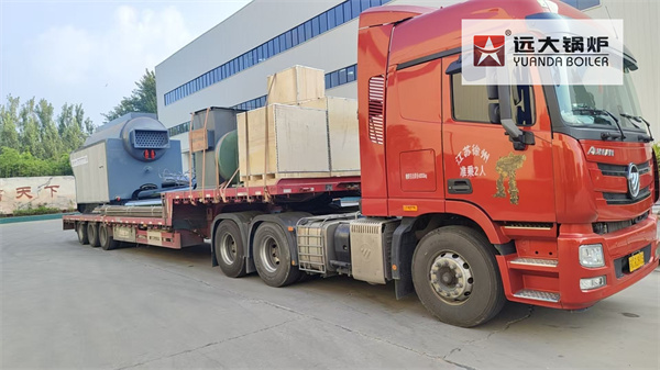 2Ton Wood Biomass Steam Boiler DZH Travelling Grate Boiler Deliver To Türkiye