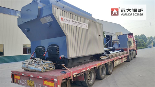 2Ton Wood Biomass Steam Boiler DZH Travelling Grate Boiler Deliver To Türkiye