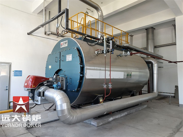 4000kg Steam Boiler for Pharmaceutical Industry