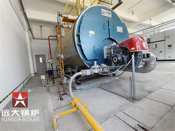 4000kg Steam Boiler for Pharmaceutical Industry