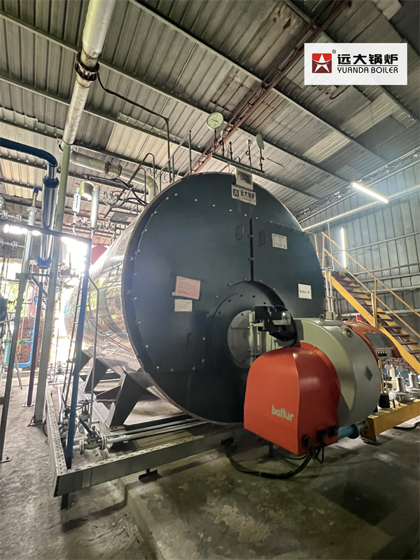 15Ton/hour Gas Steam Boiler Fire Tube Boiler In Bangladesh Paper Plant