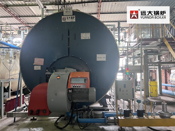 15Ton/hour Gas Steam Boiler Fire Tube Boiler In Bangladesh Paper Plant