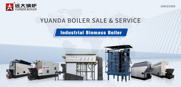 China Industrial Solid Fuel Biomass Boiler Manufacturer