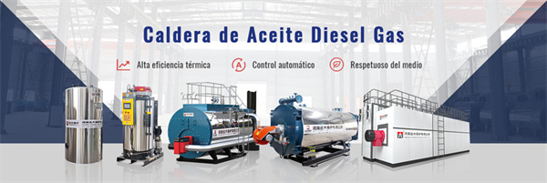 Caldera de Diesel Gas Glp Biogas, Caldera de Vapor o Agua Caliente