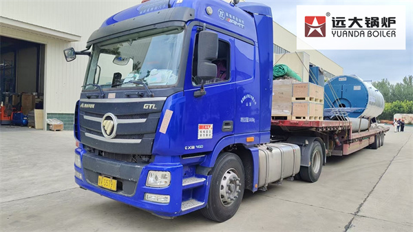6Ton Oil Gas Fired Steam Boiler Delivery To Indonesia