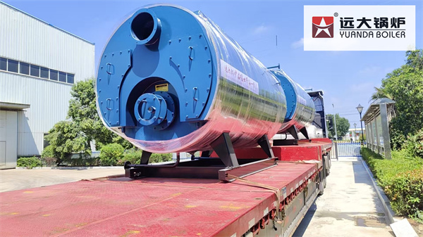 2000kg Gas Boiler Steam Generator Boiler Deliver To Kazakhstan