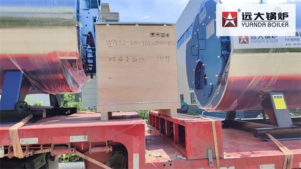 2000kg Gas Boiler Steam Generator Boiler Deliver To Kazakhstan