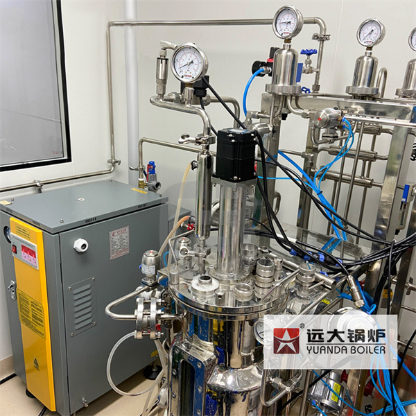 Commercial Electric Boiler Steam Generation Boiler 13kg 18kg 25kg 35kg 50kg 65kg 85kg 100kg 150kg 200kg 300kg 400kg 500kg