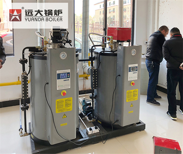 Caldeira a Vapor Para Cozinha Industrial Caldeira a Gás Diesel
