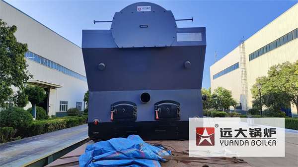 5Ton Biomass Travelling Grate Steam Boiler Deliver to Pakistan