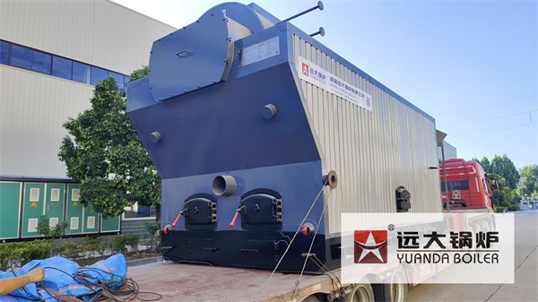 5Ton Biomass Travelling Grate Steam Boiler Deliver to Pakistan