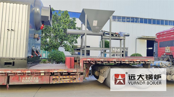 5Ton Biomass Travelling Grate Steam Boiler Deliver to Pakistan