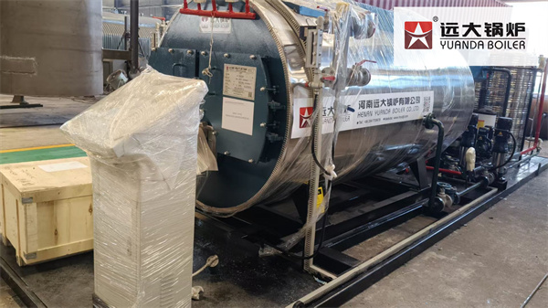 Philippines Feed Mill Diesel Fired Steam Boiler 1000kg