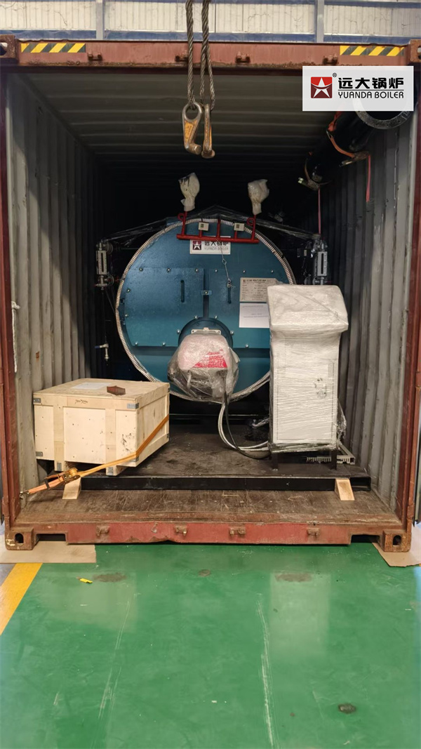 Philippines Feed Mill Diesel Fired Steam Boiler 1000kg