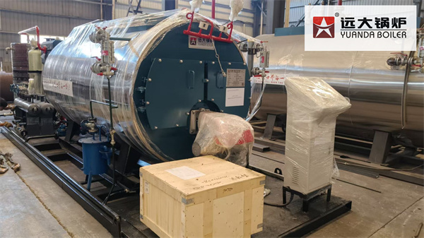 Philippines Feed Mill Diesel Fired Steam Boiler 1000kg