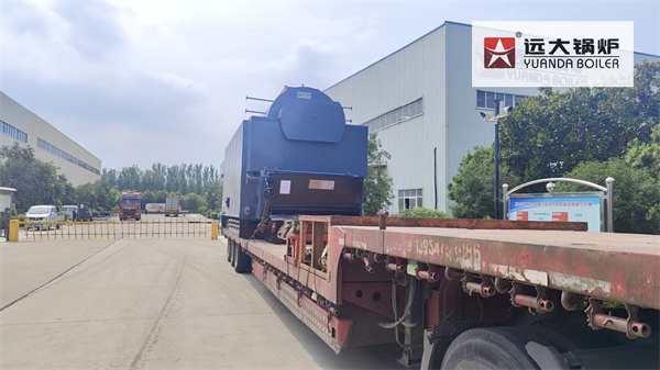 8Ton Biomass Steam Boiler For Sunflower Oil Processing Factory Russia