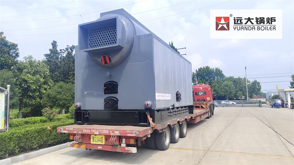 8Ton Biomass Steam Boiler For Sunflower Oil Processing Factory Russia
