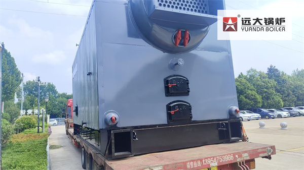 8Ton Biomass Steam Boiler For Sunflower Oil Processing Factory Russia
