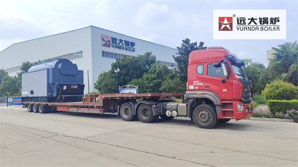 8Ton Biomass Steam Boiler For Sunflower Oil Processing Factory Russia