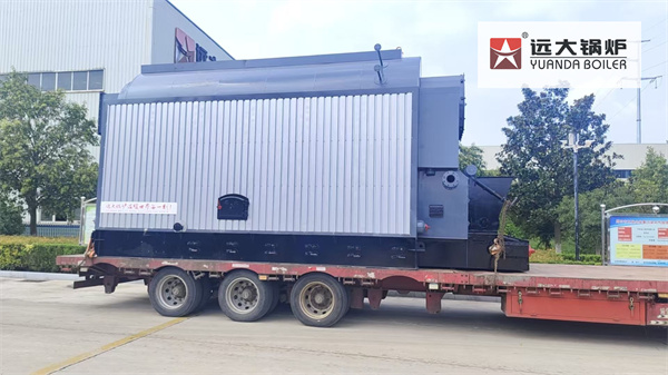 8Ton Biomass Steam Boiler For Sunflower Oil Processing Factory Russia
