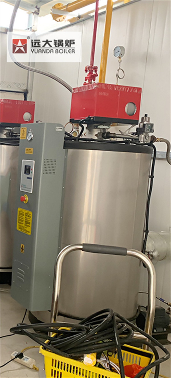 Small Water Tube Steam Boiler 100kg 150kg Diesel Gas Boiler