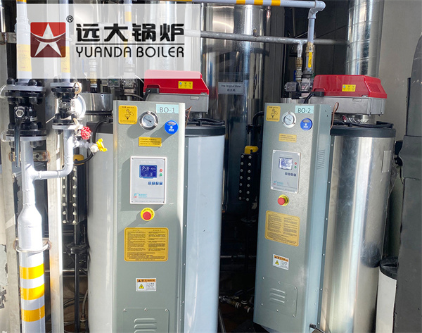 Generador Vapor a Gas y Diésel para Industria Alimentaria