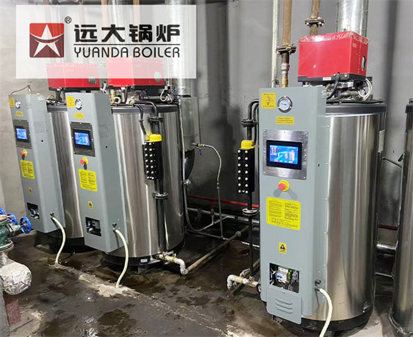 Chaudiere Vapeur Verticale Diesel Gaz 100kg 200kg 300kg 500kg
