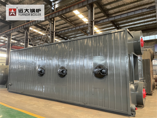 Industrial Superheated Steam Boiler Coal Biomass Fired Boiler 10ton 15ton 20ton 30ton 40ton 50ton