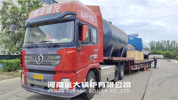 Mauritius Thermal Oil Boiler Project 3500kw Diesel Gas Powered Oil Furnace Boiler