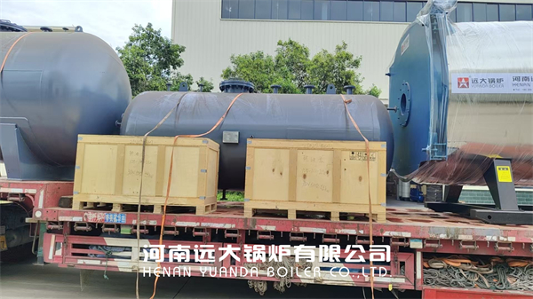 Mauritius Thermal Oil Boiler Project 3500kw Diesel Gas Powered Oil Furnace Boiler