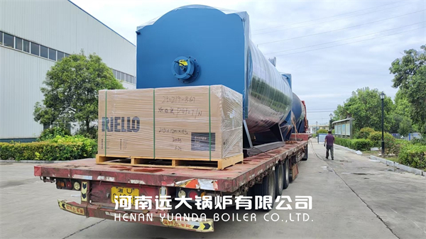 Mauritius Thermal Oil Boiler Project 3500kw Diesel Gas Powered Oil Furnace Boiler