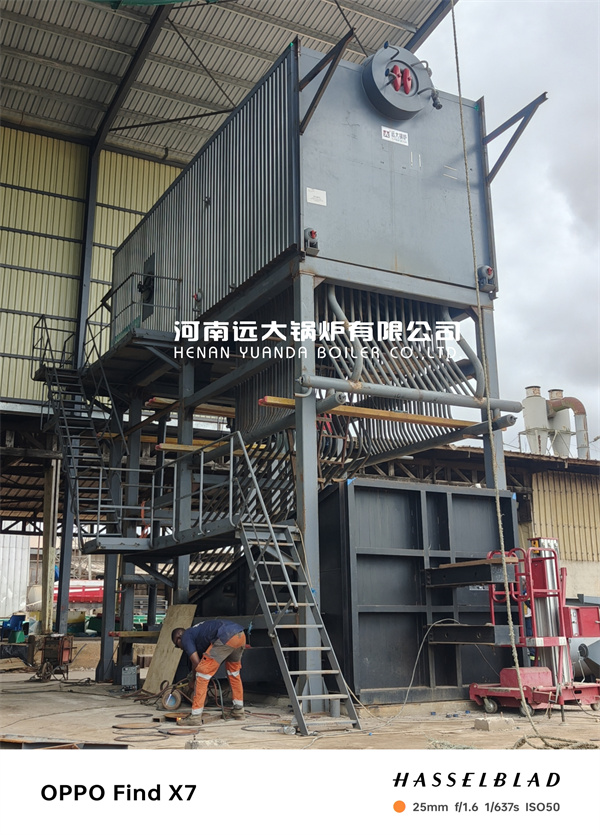 Côte d’Ivoire Water Tube BIomass Boiler Palm Fibre Fired Steam Boiler 10Ton