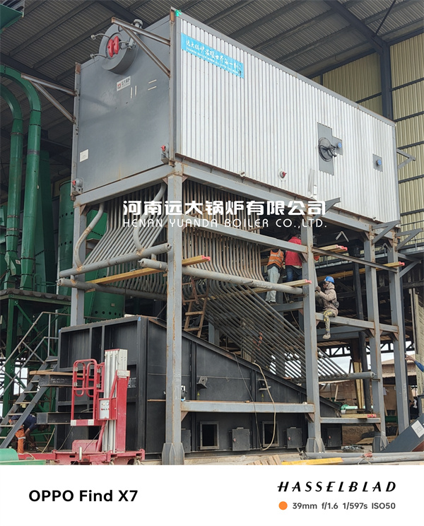 China Reciprocating Grate Biomass Boiler 10Ton/hour