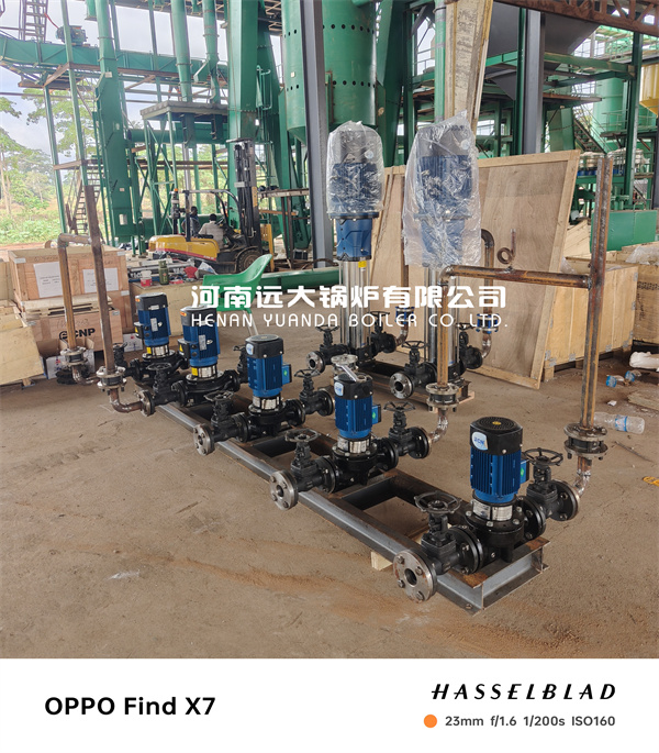 Côte d’Ivoire Water Tube BIomass Boiler Palm Fibre Fired Steam Boiler 10Ton