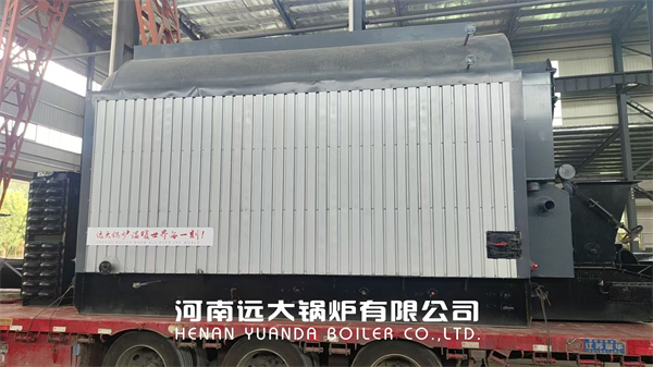 China Wood Biomass Steam Boiler 4Ton With Economizer