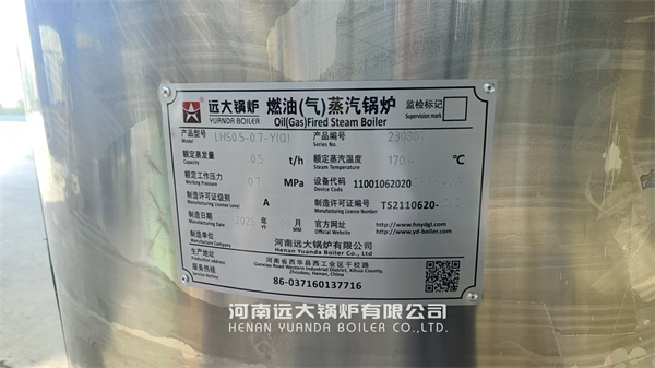 Vertical Steam Generator Boiler 500 kg Deliver to Ethiopia