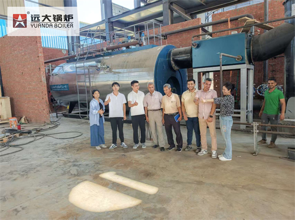 WNS Fire Tube Three Pass Steam Boiler Installed in Egypt