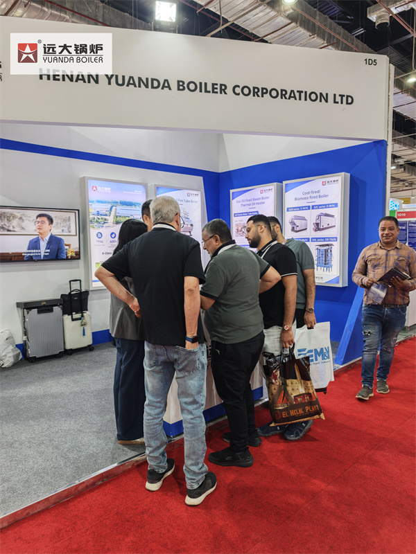 Egypt Industrial Steam Generator Boiler Supplier